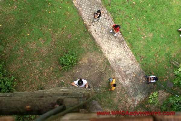 Skytrex Adventure, Taman Botani Negara Shah Alam  WHOA! Adventures